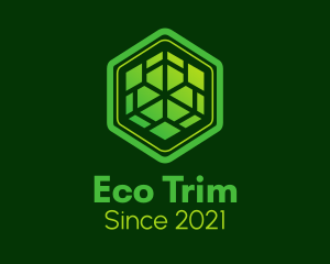 Geometric Eco Company logo design