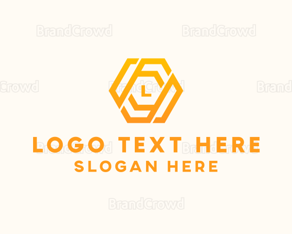 Finance Business Hexagon Logo