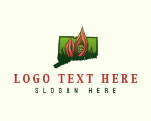 Map - Connecticut Skunk Cabbage Plant logo design