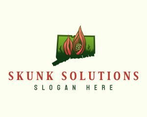 Connecticut Skunk Cabbage Plant logo design