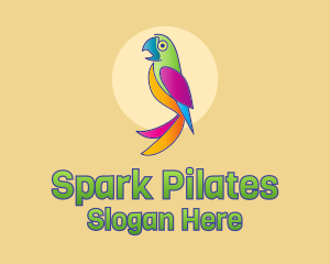 Colorful Parrot Bird  Logo