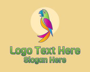 Colorful Parrot Bird  Logo