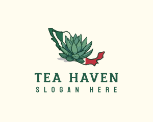 Mexican Agave Farming logo design