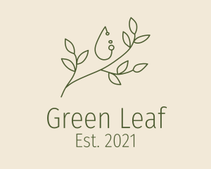 Natural Botanical Oil  logo design