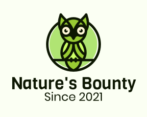 Nature Perched Owl logo design