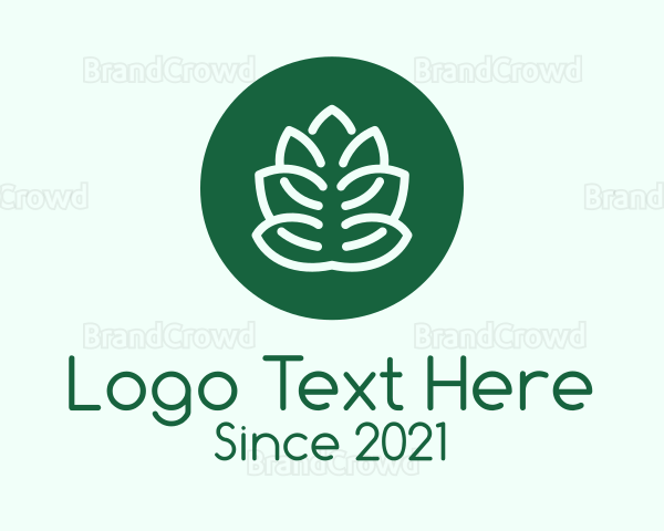 Circle Green Plant Logo