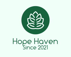 Environment Friendly - Circle Green Plant logo design