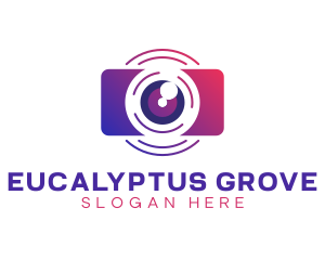 Digital Camera Studio logo design