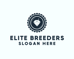 Diamond Jewelry Badge logo design