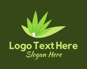 Organic Products - Green Peacock Environmental logo design