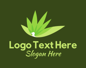 Botanical - Green Peacock Environmental logo design