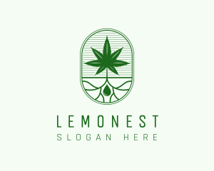 Extract - Marijuana Plant Extract logo design