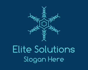 Blue Snowflake Pattern Logo