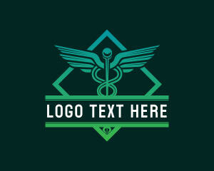 Wings - Caduceus Hospital Healthcare logo design