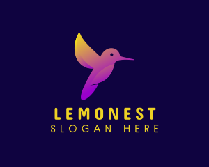 Creative Gradient Hummingbird Logo