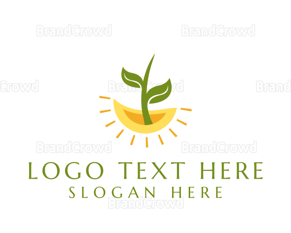 Botany Plant Leaf Logo