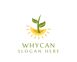 Botany Plant Leaf  Logo