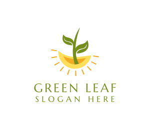 Botany Plant Leaf  logo design