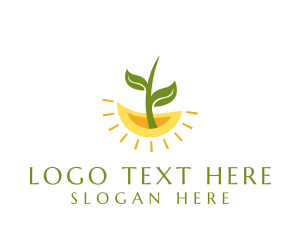 Botany - Botany Plant Leaf logo design