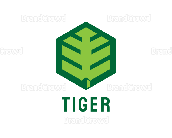 Green Hexagon Leaf Logo