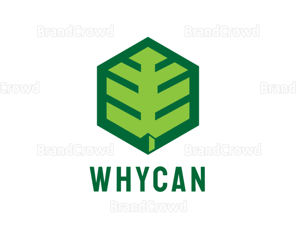 Green Hexagon Leaf Logo