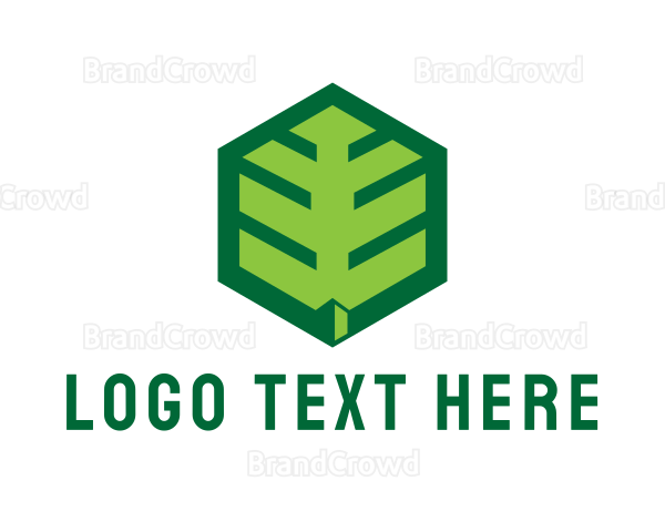 Green Hexagon Leaf Logo