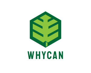 Green Hexagon Leaf Logo