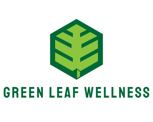 Green Hexagon Leaf logo design