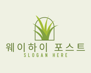 Eco Green Grass logo design