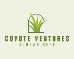 Eco Green Grass logo design