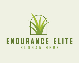 Eco Green Grass logo design