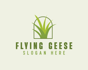 Eco Green Grass logo design