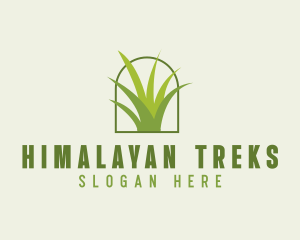 Eco Green Grass logo design