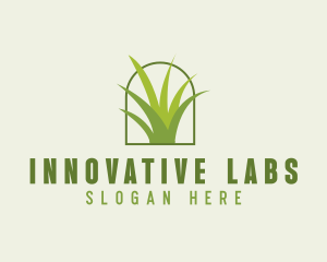 Eco Green Grass logo design