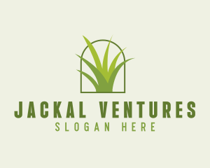 Eco Green Grass logo design