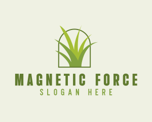 Eco Green Grass logo design