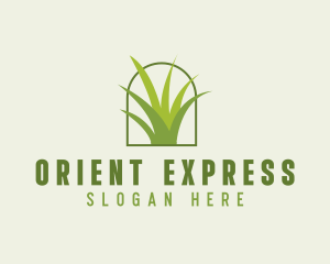 Eco Green Grass logo design