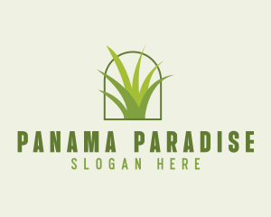 Eco Green Grass logo design