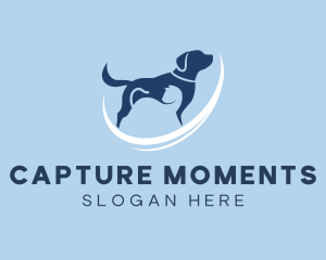 Dog - Pet Dog Veterinary logo design
