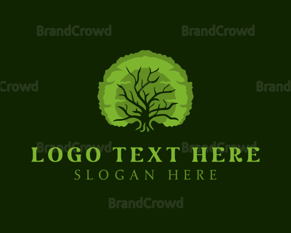 Natural Oak Tree Logo