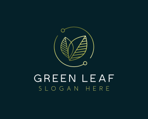 Leaf Nature Eco logo design