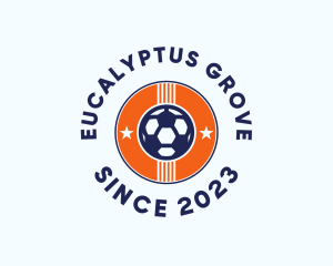 Soccer Team Badge  logo design