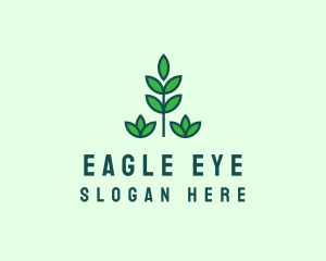 Green Eco Garden Plant logo design