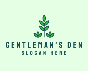 Green Eco Garden Plant logo design