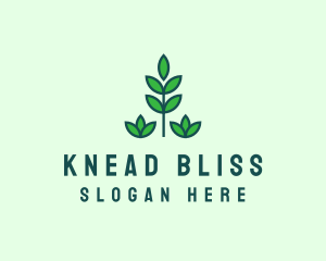 Green Eco Garden Plant logo design