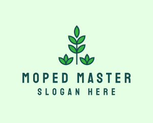 Green Eco Garden Plant logo design