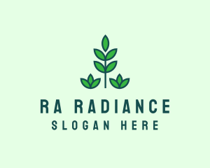 Green Eco Garden Plant logo design