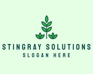 Green Eco Garden Plant logo design