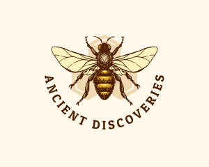 Honey Bee Apiary logo design