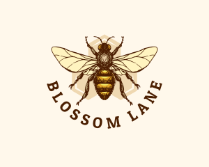 Honey Bee Apiary logo design